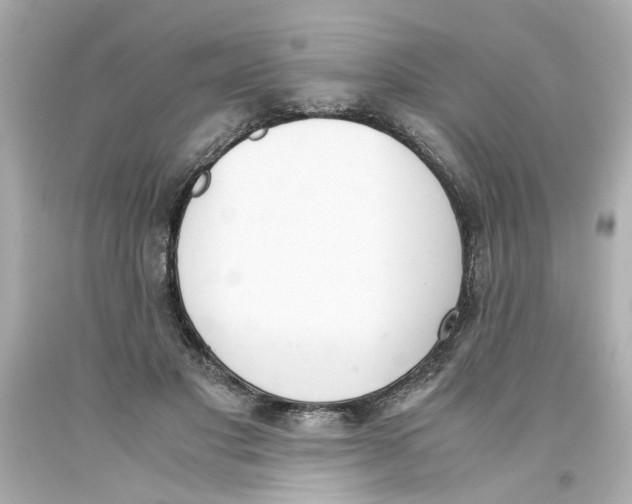 X0000093390501200711011314