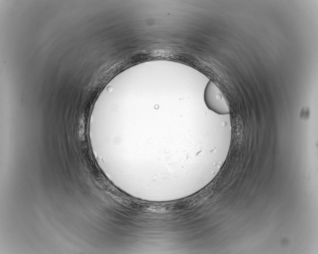 X0000093390502200711011314