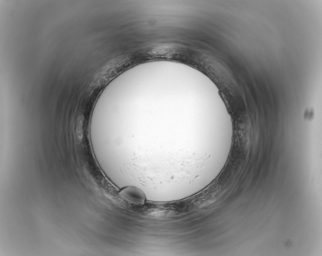 X0000093390504200711011314