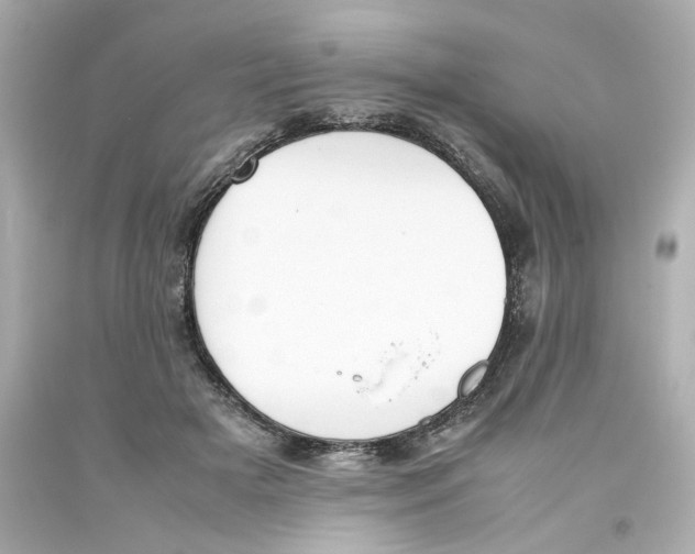 X0000093390505200711011314