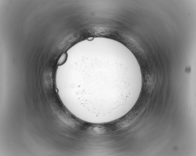 X0000093390506200711011314