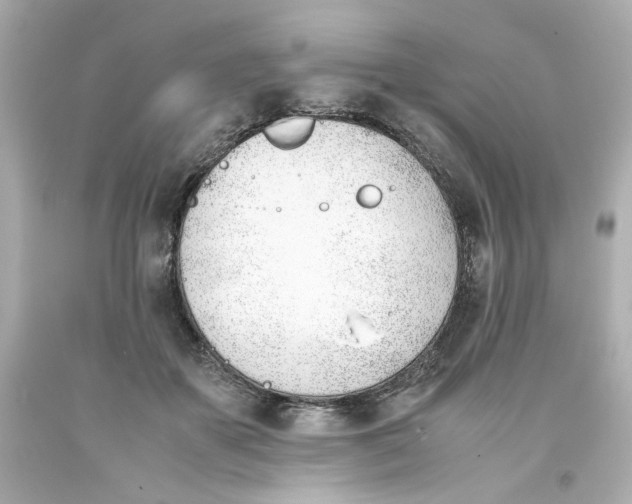 X0000093390507200711011314