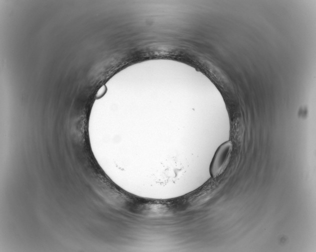 X0000093390509200711011314