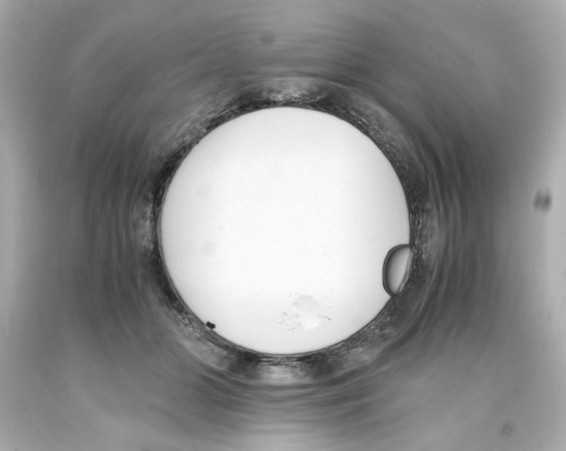 X0000093390510200711011314