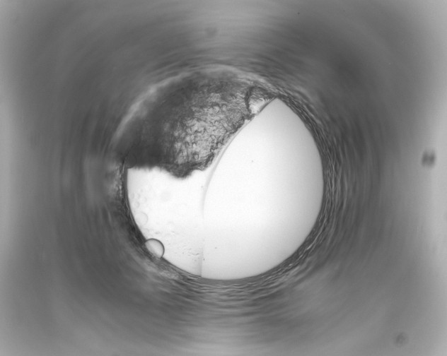 X0000093390511200711011314