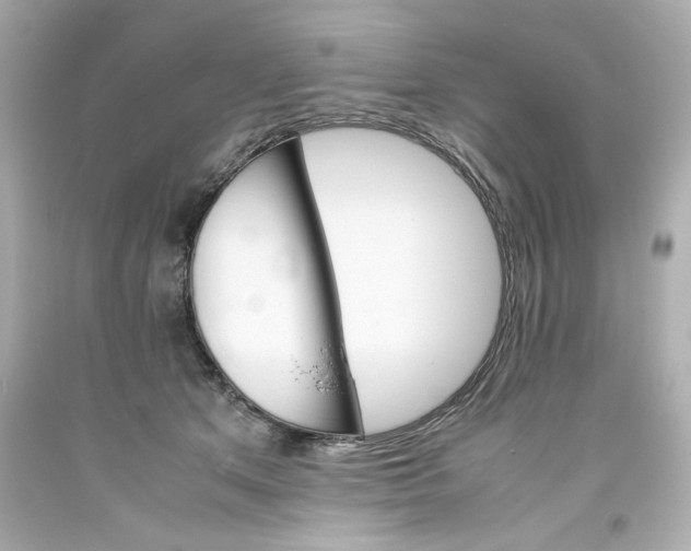 X0000093390513200711011314