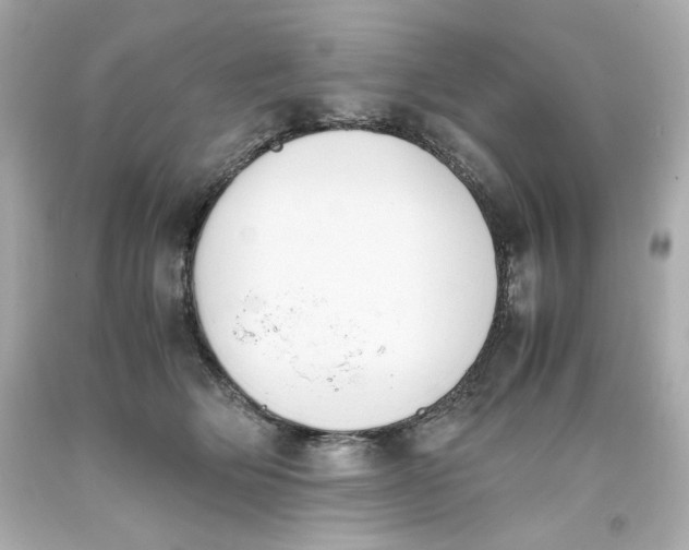 X0000093390514200711011314