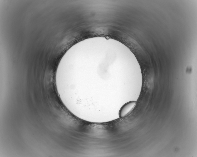 X0000093390518200711011314