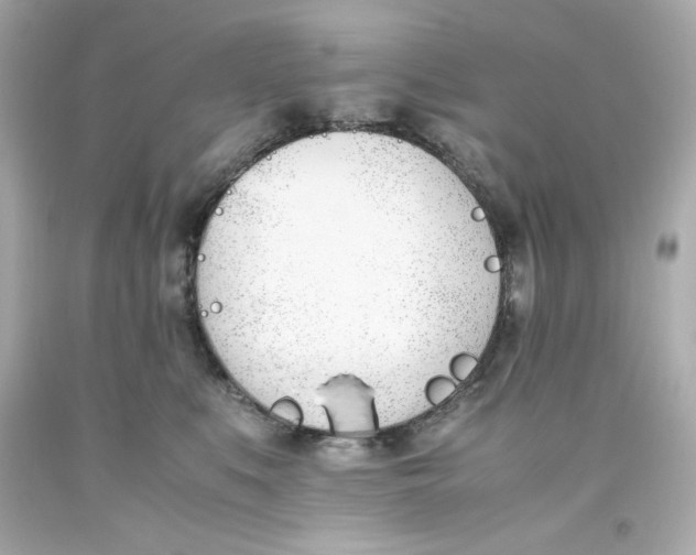 X0000093390519200711011314