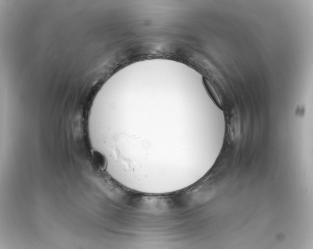 X0000093390520200711011314