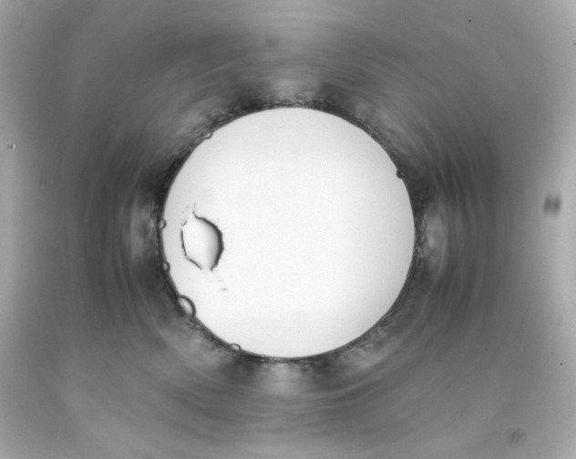 X0000093390522200711011314