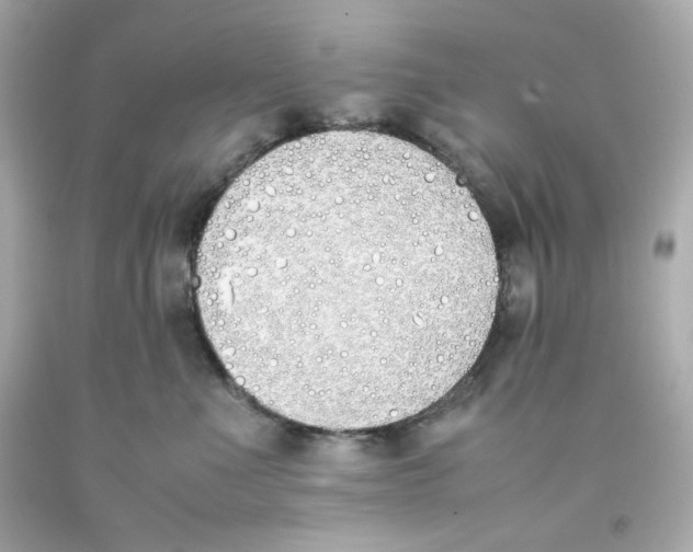 X0000093390523200711011314