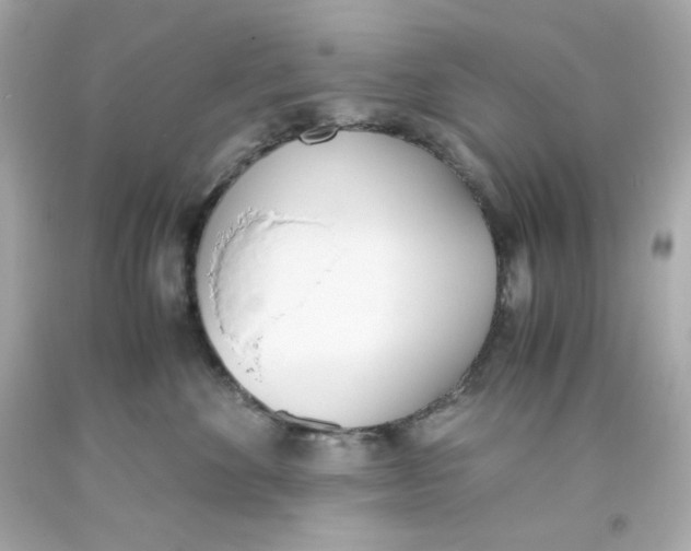 X0000093390524200711011314