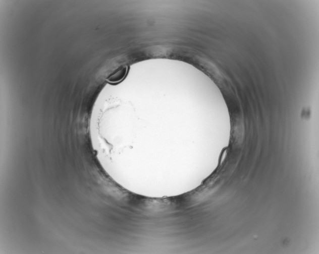 X0000093390525200711011314