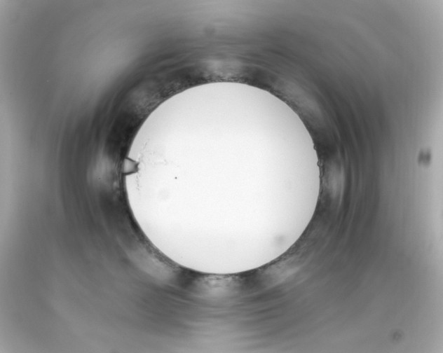 X0000093390526200711011314