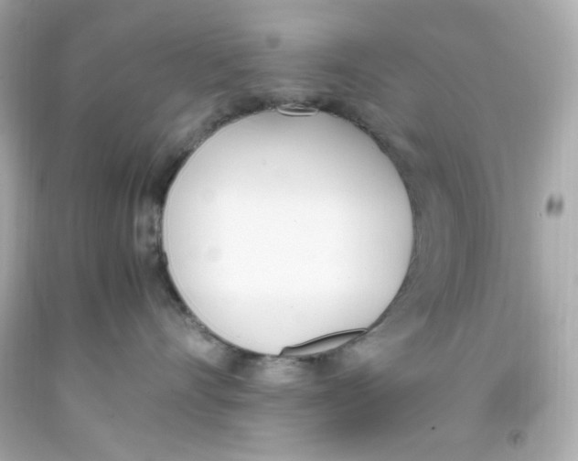 X0000093390528200711011314