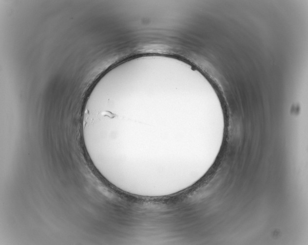 X0000093390529200711011313