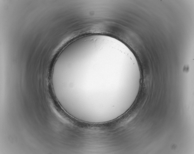 X0000093390530200711011313