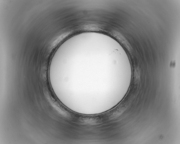 X0000093390533200711011313