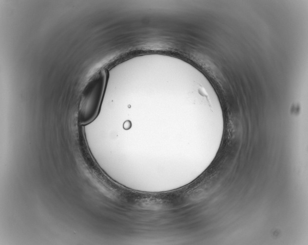 X0000093390535200711011313