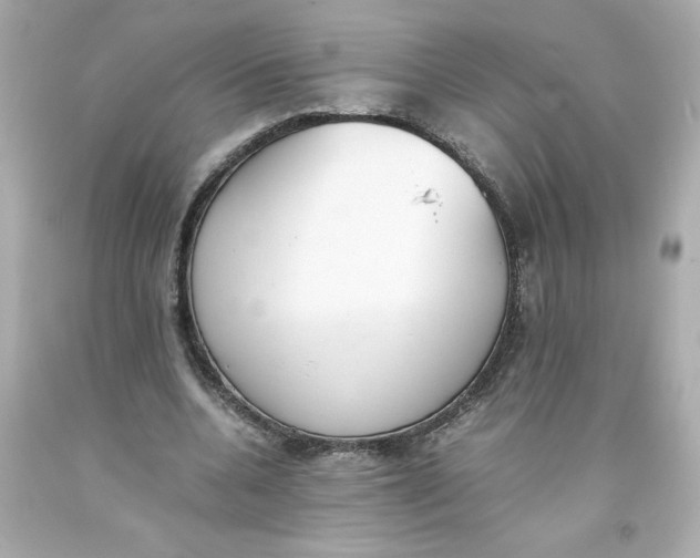 X0000093390536200711011313