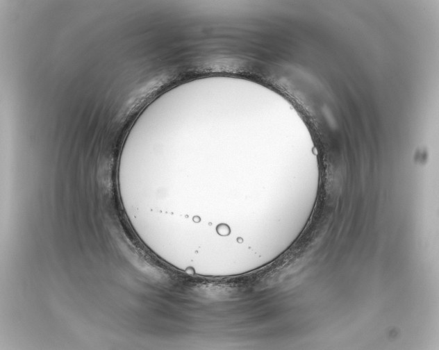 X0000093390537200711011313