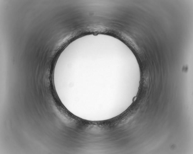 X0000093390538200711011313