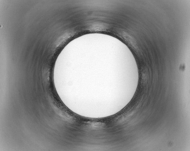 X0000093390539200711011313