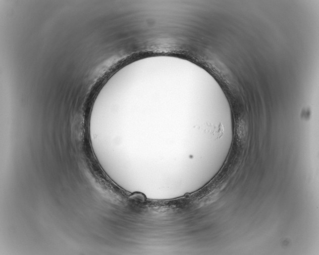 X0000093390540200711011313