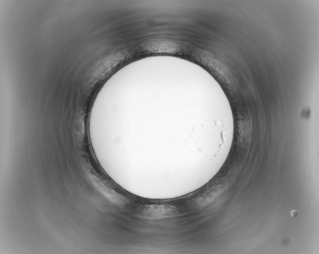 X0000093390541200711011313