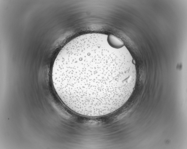 X0000093390542200711011313