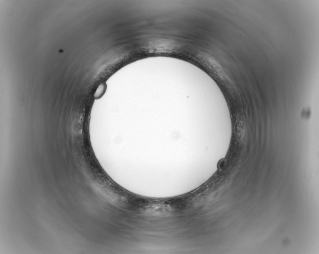 X0000093390543200711011313