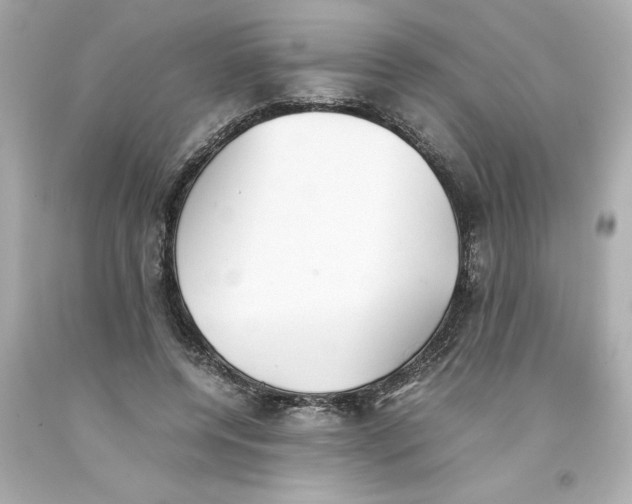 X0000093390544200711011313