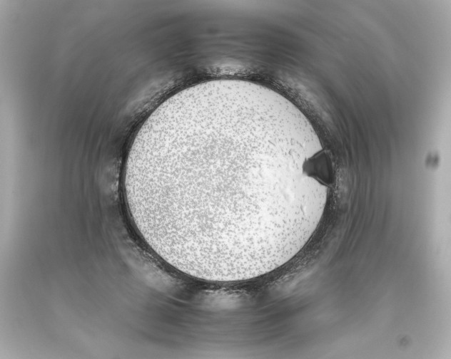 X0000093390545200711011313