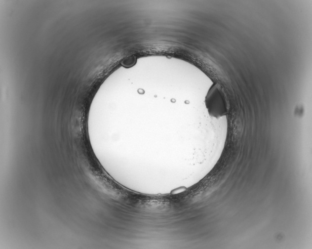 X0000093390546200711011313