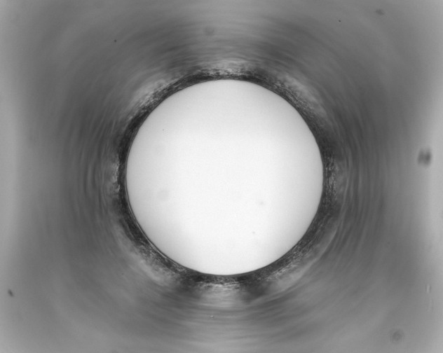 X0000093390548200711011313