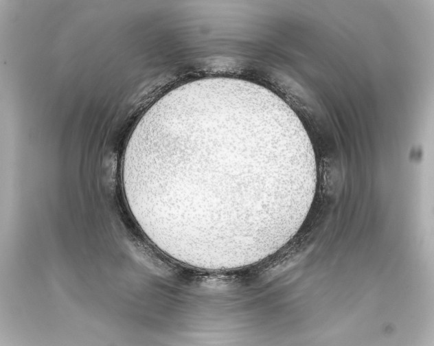 X0000093390550200711011313