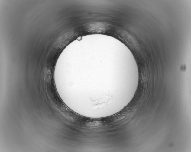 X0000093390551200711011313