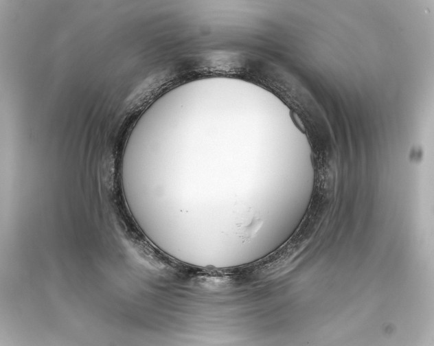 X0000093390552200711011313