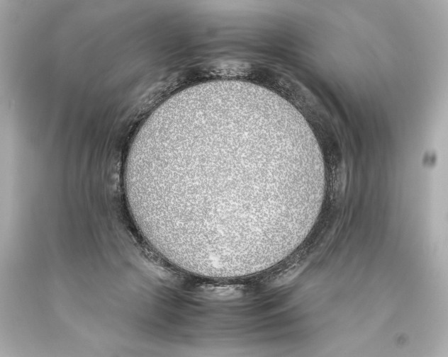 X0000093390553200711011313