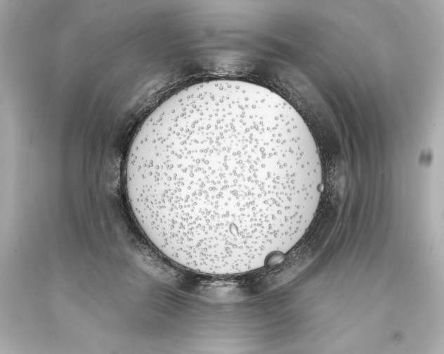 X0000093390554200711011313