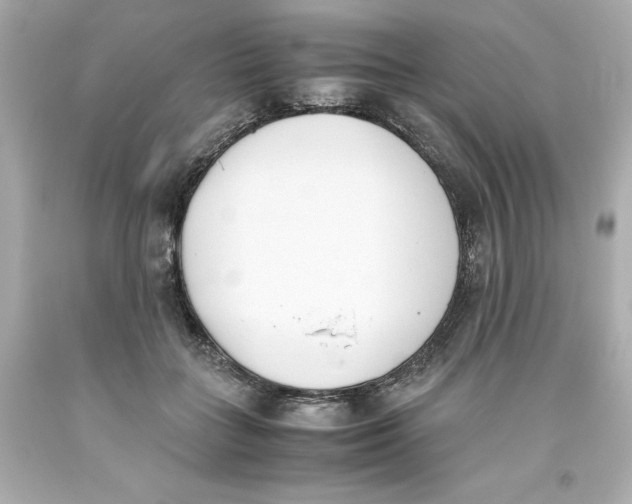 X0000093390555200711011313