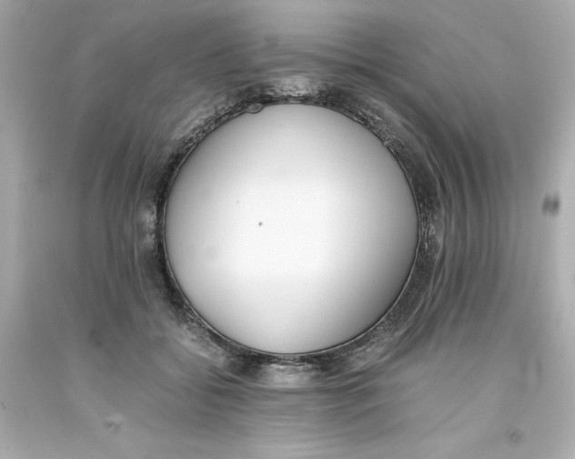 X0000093390556200711011313