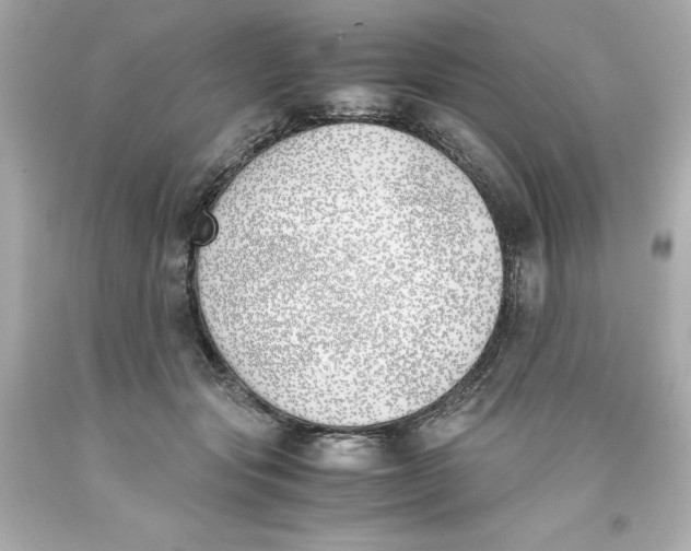 X0000093390557200711011313