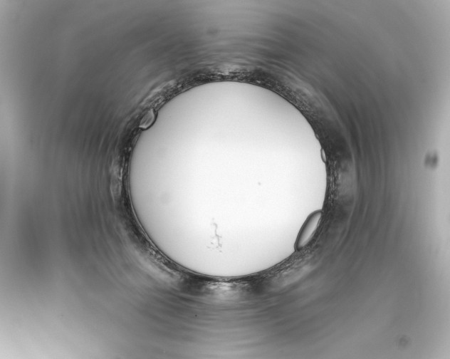 X0000093390558200711011313