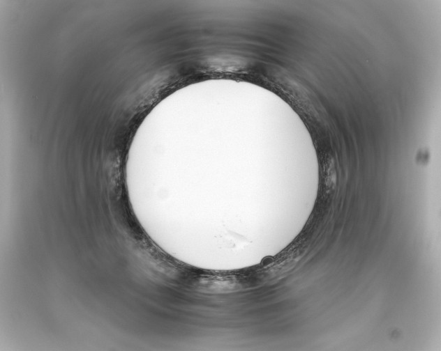 X0000093390559200711011313