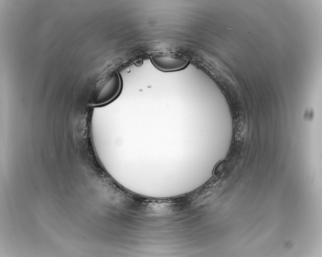 X0000093390560200711011313