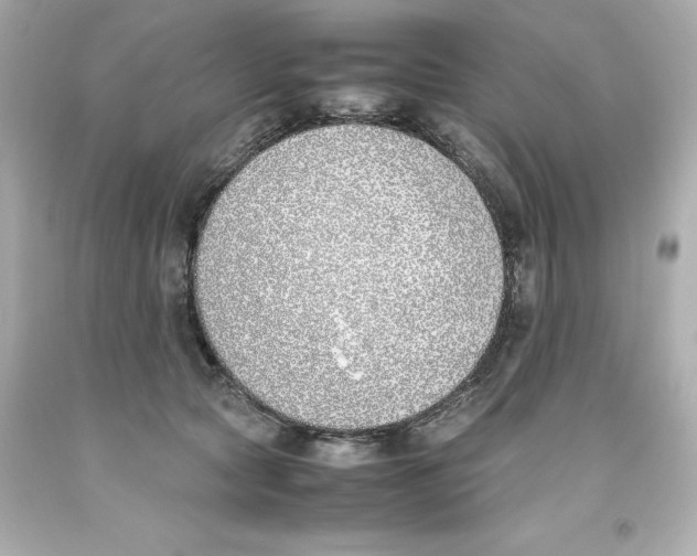 X0000093390561200711011313