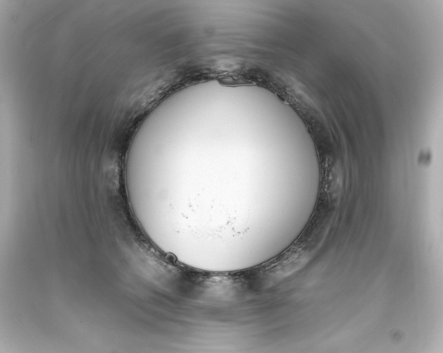 X0000093390562200711011313