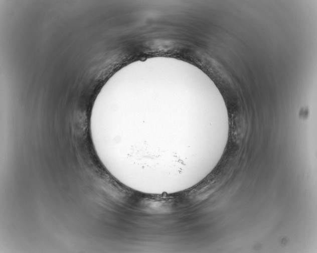 X0000093390563200711011313